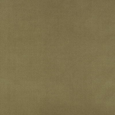 Intrigue Fabric