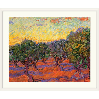 " Grove Of Olive Trees " by Vincent Van Gogh