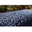 Twist Bath Rug-43356634-43356635