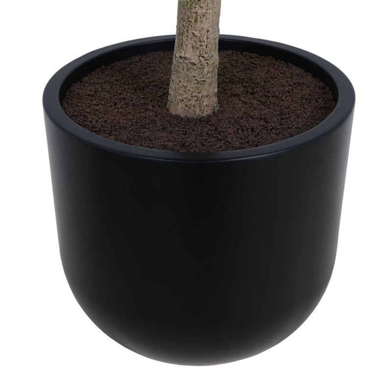 TREE MONEY POT 7FT