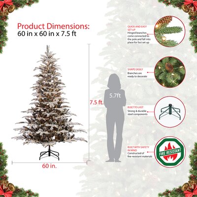 Sand & Stable 7.5' Lighted Artificial Fir Christmas Tree & Reviews ...