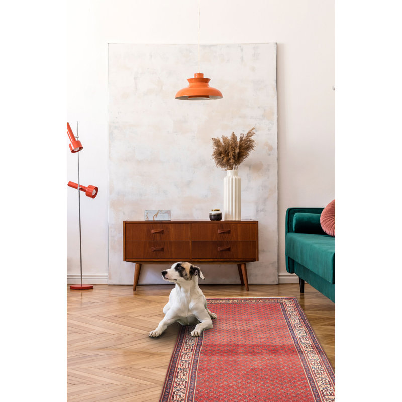 Tapis rouge Andelz 3 pi 4 po x 9 pi 5 po