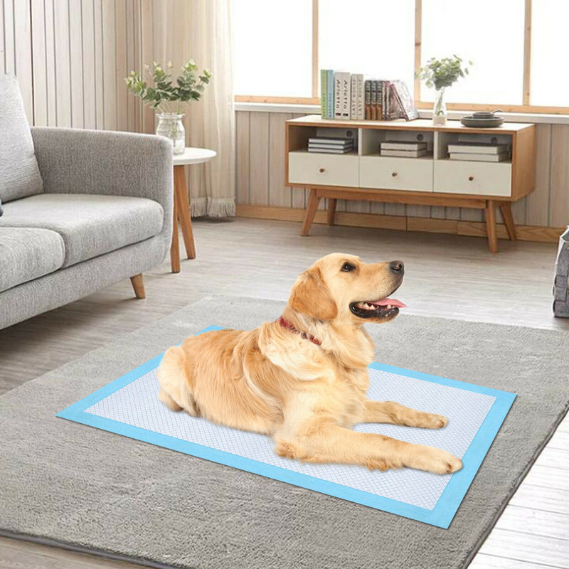 Tapis d'entraînement pour animaux, Très grand (l 35 po x P 0,2 po x H 24 po)