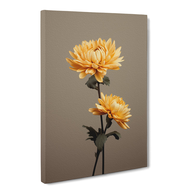 Chrysanthemums Minimalism - No Frame Print, 60cm H x 40cm W x 3cm D