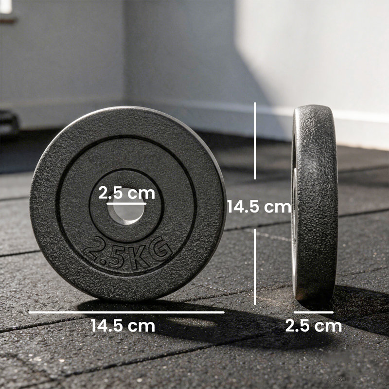SPORTNOW Weight Plates Set 1"/2.5cm Weight Disc Pair 4 x 2.5kg Metal Grey