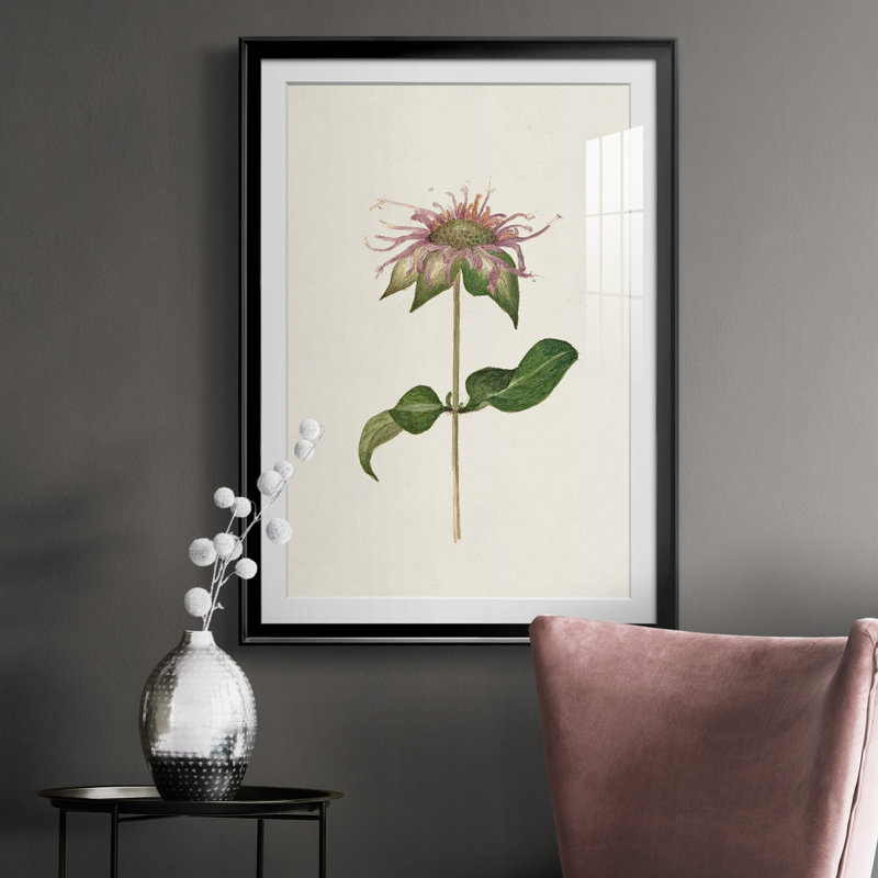 Mauve Garden Flowers V - peinture encadrée, Cadre noir, H 30,5 po x l 22,5 po x P 1 po