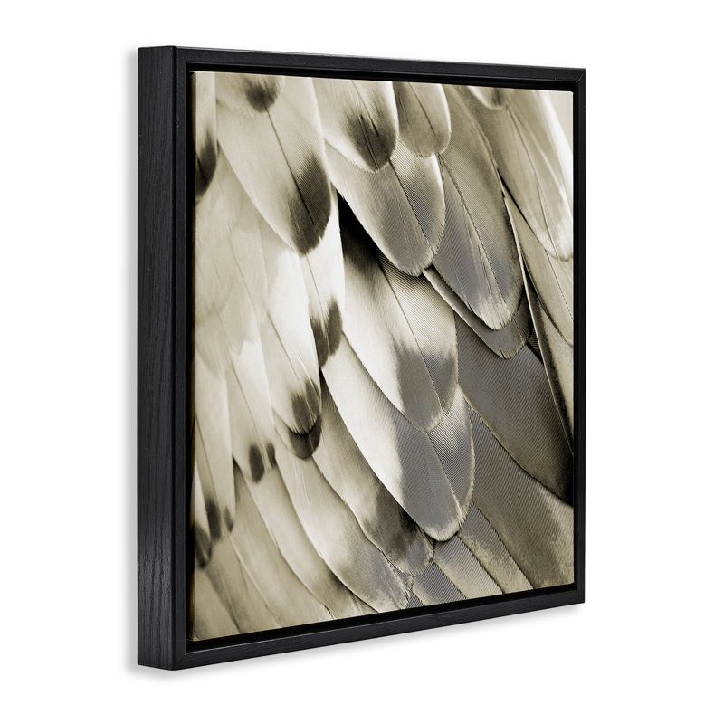 Art mural sur toile lisse avec plumes d'ailes brunes par Julia Bosco, Cadre flottant noir de jais, H 25 po x l 25 po