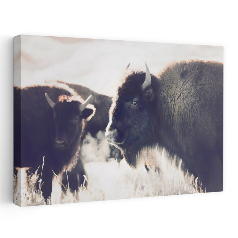 Bison, art mural contemporain abstrait, H 16 po x l 24 po