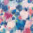 Fuchsia / Ultramarine