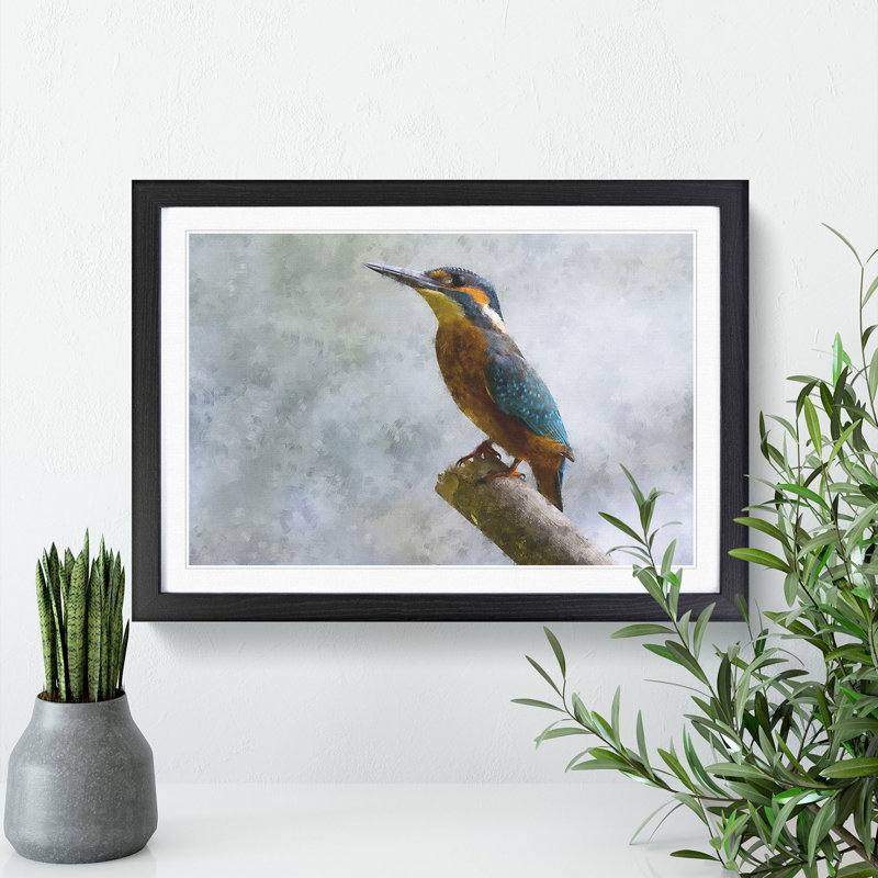 Graceful Kingfisher Bird - Picture Frame Graphic Art Print, 33cm H x 45cm W x 2cm D, Black Framed
