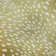 Premium Machine Washable Merilou AMF44 Gilded Rug