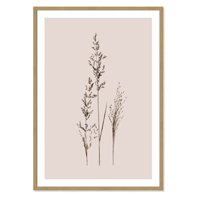 Delicate Stems I by Carol Robinson - Single Picture Frame Print -  Birch Lane™, CD6D3FC9FF1F4322A6BD7A7C27F0C047