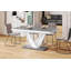 Daymon Extendable Dining Table