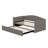 Daybed With Extended Pop Up Trundle, Upholstered Sofa Bed Daybed, Space-Saving To Design For Guest Room, Velvet-2047455170