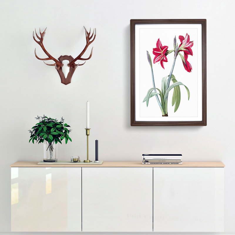 Brazilian Amaryllis Flowers by Pierre-Joseph Redoute - Picture Frame Painting Print, Walnut Framed, 36cm H x 27cm W x 2cm D