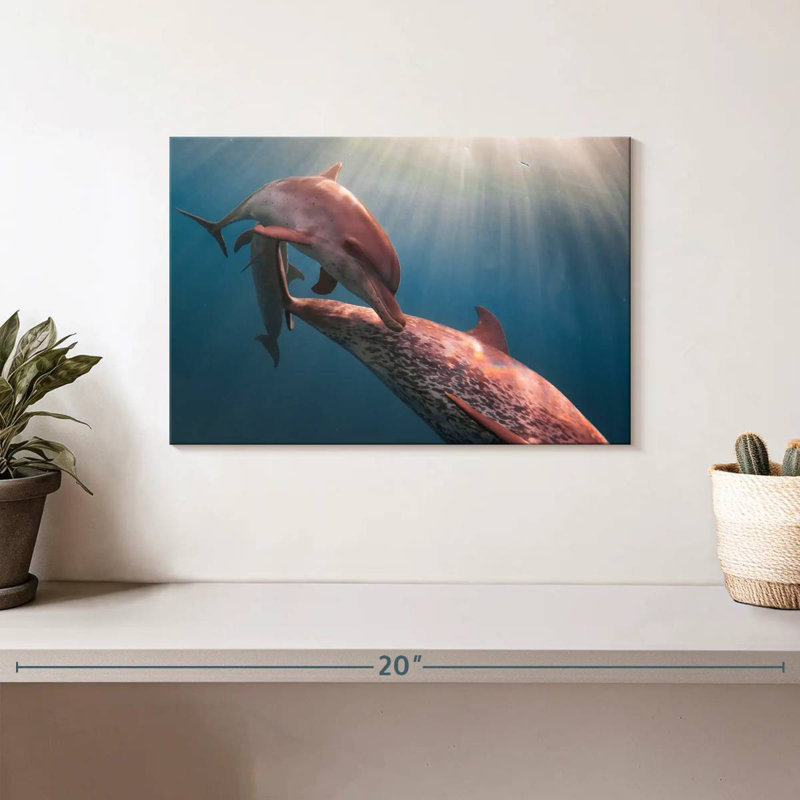 Brampt Amazon River Dolphins, 8" H x 12" W