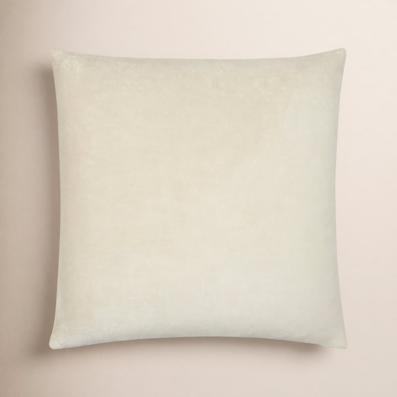 Beirne Cotton Throw Pillow, Pillow Cover Only - No Insert, Oatmeal, 20" x 20"