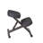 Jasinski Adjustable Height Ergonomic Kneeling Chair with Footrest-25968029-25968026