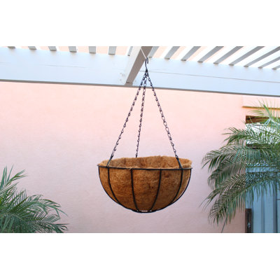 16'' Metal Hanging Planter Basket with Coco Coir Liner （Set of 4）, Black Wire Hanging Flower Baskets with Chain Hooks for Outdoor Porch Garden Patio Balcony Plant Display