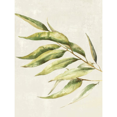 Saule II