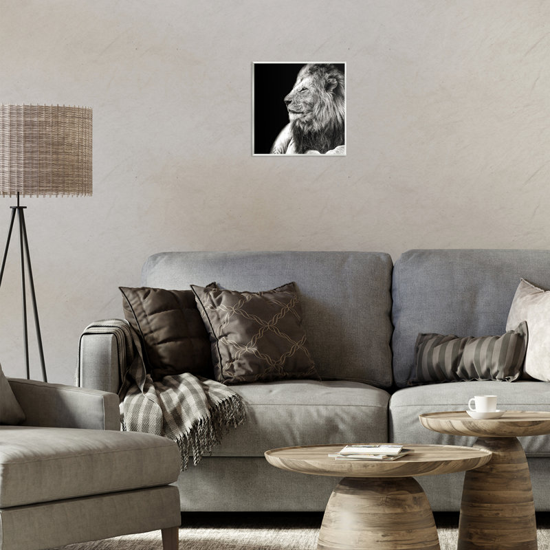 «Lion Portrait on Black» par Shelley Lake