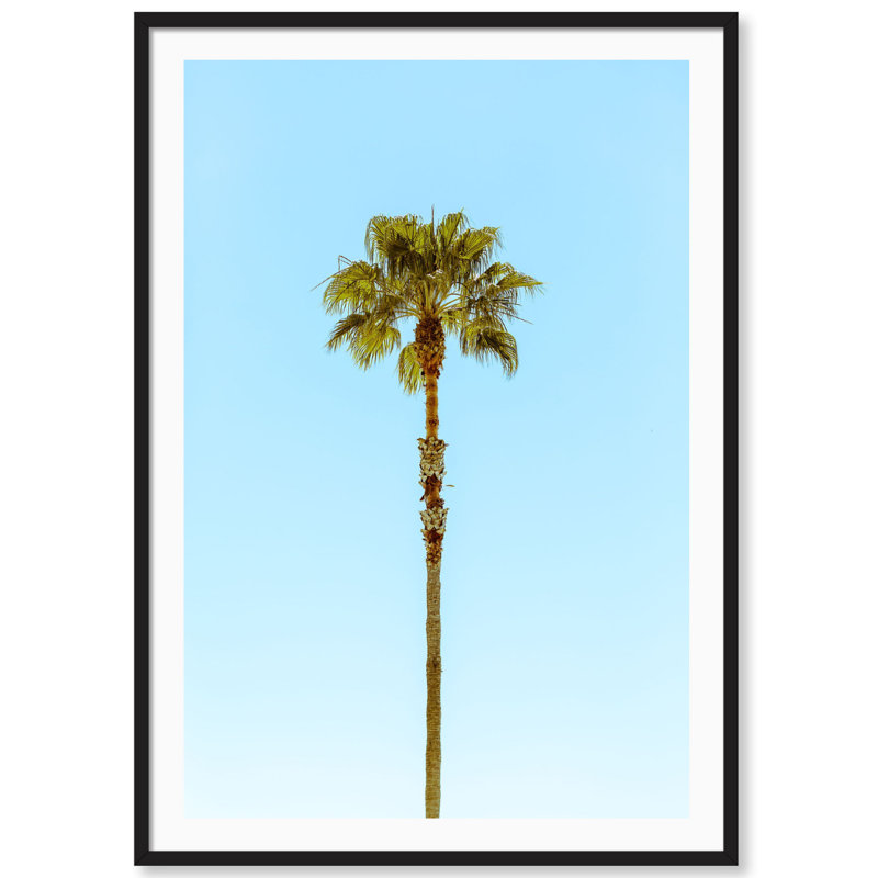 Lonely Palm par Carly Tabak - Photographie avec cadre photo, Bois noir, L 18 po x H 25 po