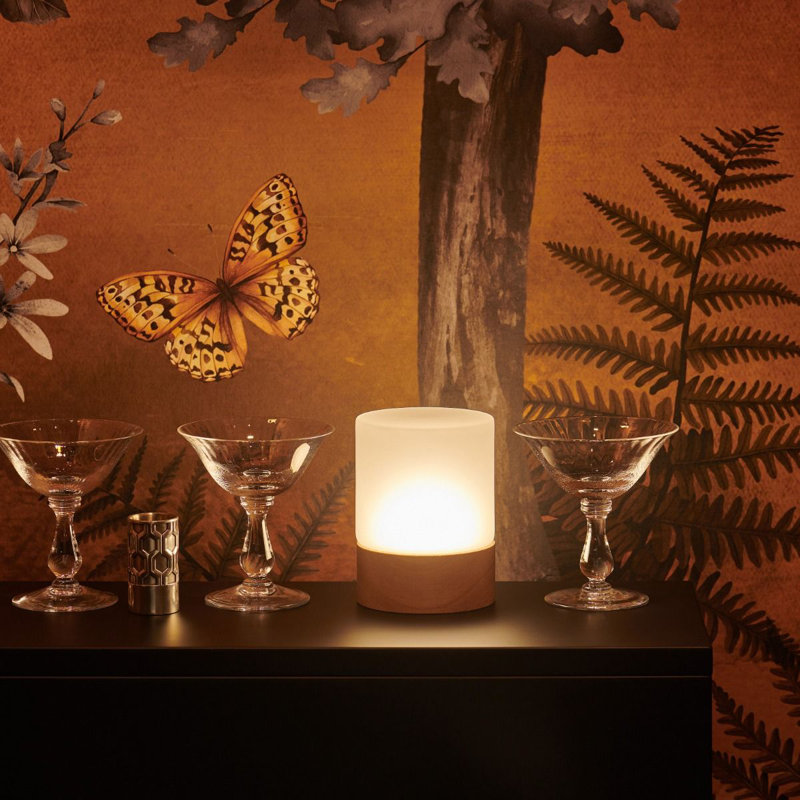 Alazah Elara Rechargeable Wireless Table Lamp with Remote