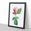 Japanese Pink Magnolia Flower by Pierre-Joseph Redoute - Picture Frame Graphic Art Print-55610073-55610074