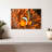 Brampt Orange Clownfish-107677477