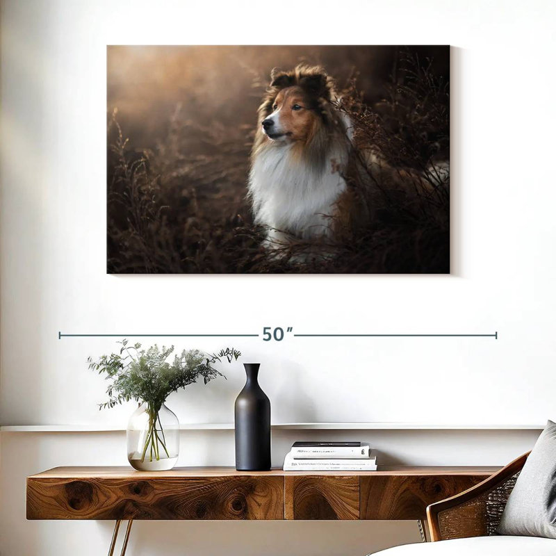 Bramelt, magnifique sheltie, H 26 po x l 39 po