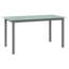 Table de jardin vidaXL Aluminium gris clair 74,8 po x 35,4 po x 29,1 po