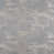 Gray selected