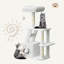 Amadahy 107cm H Cat Tree-2114003249