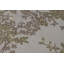 Hand-Knotted High-Quality Gold Area Rug