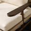 Herrin Outdoor Teak Lounge Chair