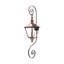 Oak Alley Outdoor Wall Lantern-1448679024