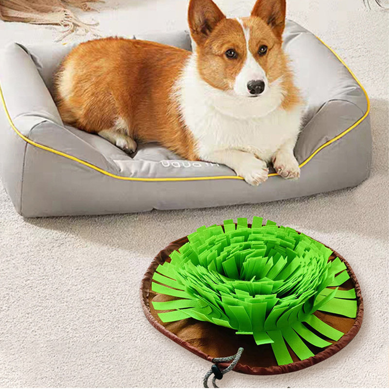 Tapis interactif pour animaux, Vert