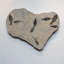 Giant Diplomytus And Cockerellites Fish Fossil Plate