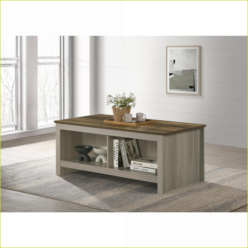 Table basse Nyla en chêne gris avec plateau en noyer - tablettes ouvertes peu encombrantes, facile à assembler pour le salon