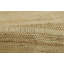 Striped Area Rug in Tan-1753082307