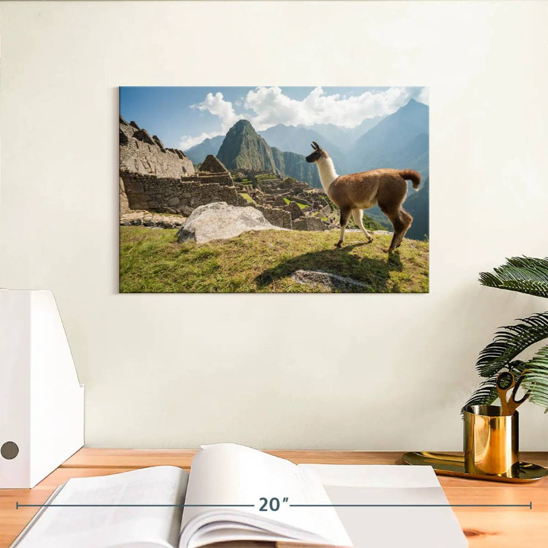 Nicci Llama From Machu Picchu, 8'' H x 12'' W