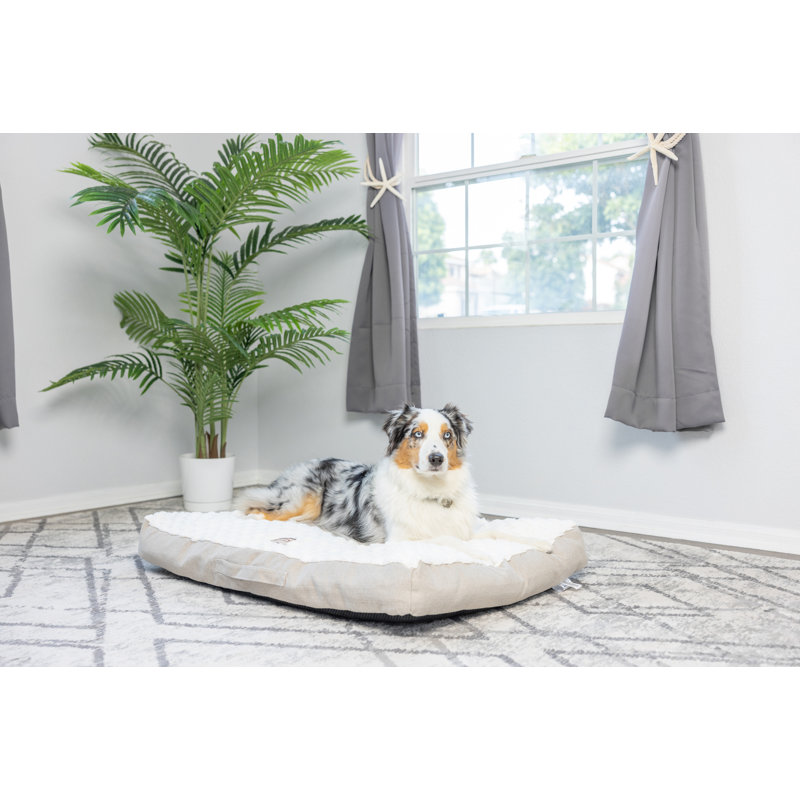 Tapis texturé pour chien avec poignée de transport, Grand ( l 29 po x P 40 po x H 6 po)