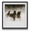 «Winter Roundup II», photographie-1015417378-1015417383