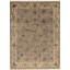 Oriental Area Rug