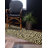 Testerman Animal Print Indoor Rug-19386245