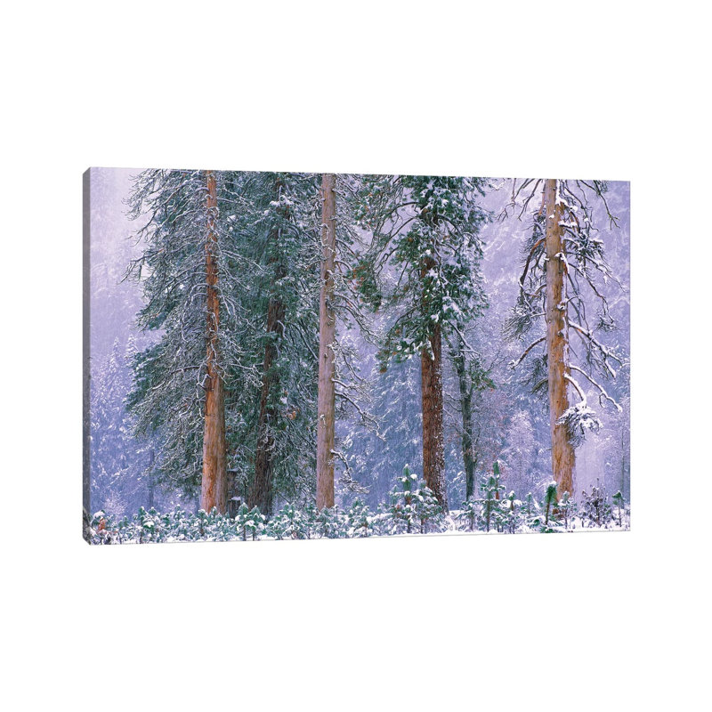Winter in Yosemite National Park, California 1 Piece Wrapped Canvas Painting, 30.48 cm H x 45.72 cm W