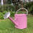 Metal Watering Can