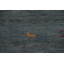 Tapis tribal Gabbeh