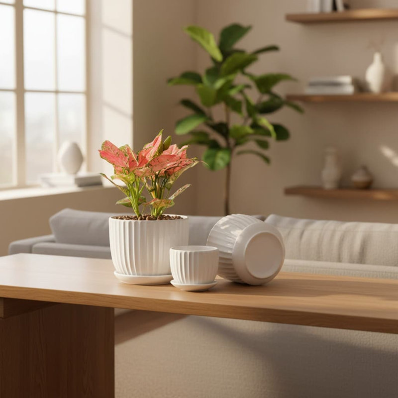 Ceramic Planter