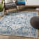 Wydra Oriental Indoor Rug